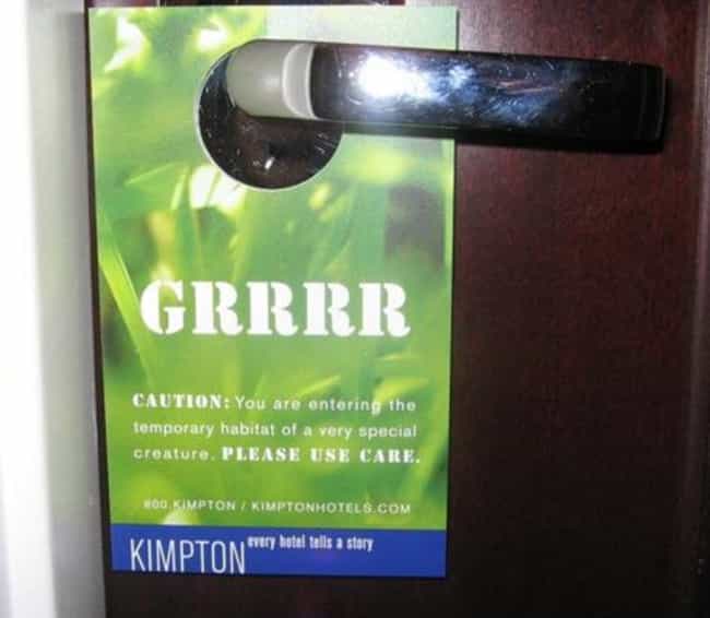 21 Funny Do Not Disturb Signs You D Happily Hang On Your