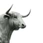 The Ox is listed (or ranked) 25 on the list The Best Rock Instrumentals
