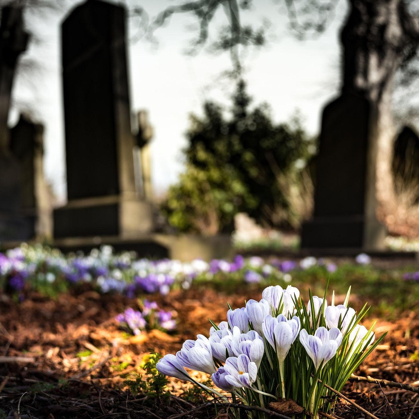 15 Eerie Ghost Stories and Urban Legends from Georgia