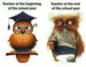 Hoot and Holla! on Random Funniest Before and After Memes