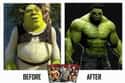 The Incredible Shrek on Random Funniest Before and After Memes