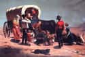 Highly Infectious Diseases Spread Rapidly on Random Things About Life on the Oregon Trail