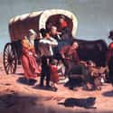 Highly Infectious Diseases Spread Rapidly on Random Things About Life on the Oregon Trail