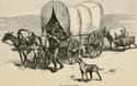 People Could Only Pack What They Needed And Had To Leave The Rest on Random Things About Life on the Oregon Trail