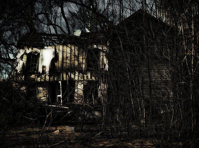 10 Creepy And Terrifying Houses In The Woods