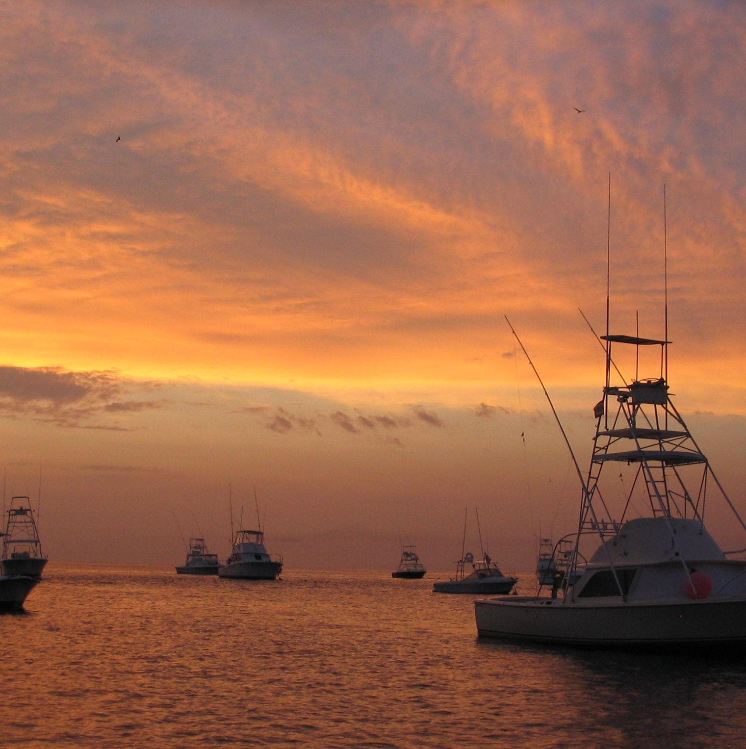 Red Skies at Night, Sailor's Delight
