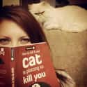 The Truth About Cats, Not Dogs on Random Photos That Prove Cats Are Pure Evil