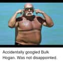 When You Accidentally Google "Bulk Hogan" on Random Misspelled Google Searches That Led to Amazing Search Results