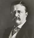 Teddy Roosevelt Loved to Throw Down in the Ring on Random US Presidents with the Strangest Hobbies