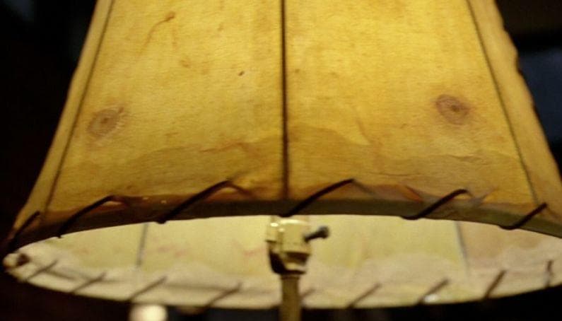 10 Random Objects That Were Actually Made Out of Human Skin