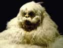 The Billiwhack Monster Would Send Big Foot Running For Cover on Random Creepy Stories And Urban Legends From California