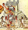 Aztec Heart Removal on Random Crazy Punishments, Rituals, and Violent Practices in Native American Culture