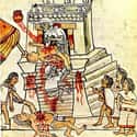 Aztec Heart Removal on Random Crazy Punishments, Rituals, and Violent Practices in Native American Culture
