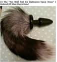 A Super Attachable Tail on Random eBay Grifts That Are So Genius