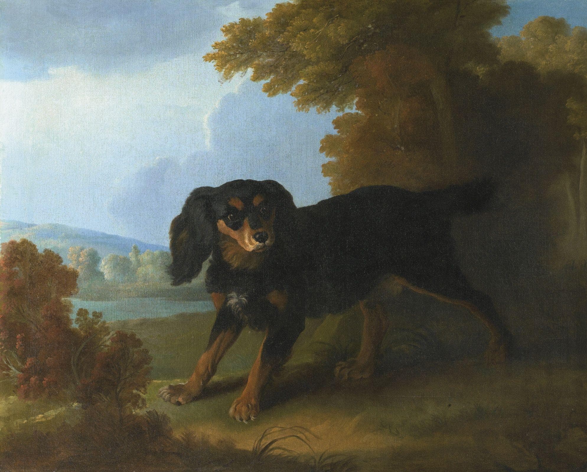 The Black Dog Of Connecticut Will End You