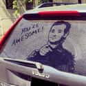Bill Murray Wouldn't Tell a Lie! on Random Funniest Things Ever Drawn on Dirty Cars
