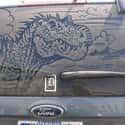 Clever Girl on Random Funniest Things Ever Drawn on Dirty Cars