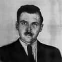 He Took Another Man's Identity To Live In Anonymity on Random Chilling Facts About Nazi Doctor Josef Mengele