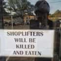 Shoplifters Will Be The First To Go on Random Funny Shoplifter Warning Signs That Would Definitely Get Your Attention