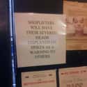 Harsh But Unfair on Random Funny Shoplifter Warning Signs That Would Definitely Get Your Attention