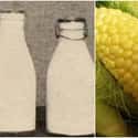 "Milkorno" Mixed Milk and Corn for an Unlikely Superfood on Random Weird Foods People Ate to Get Through Great Depression