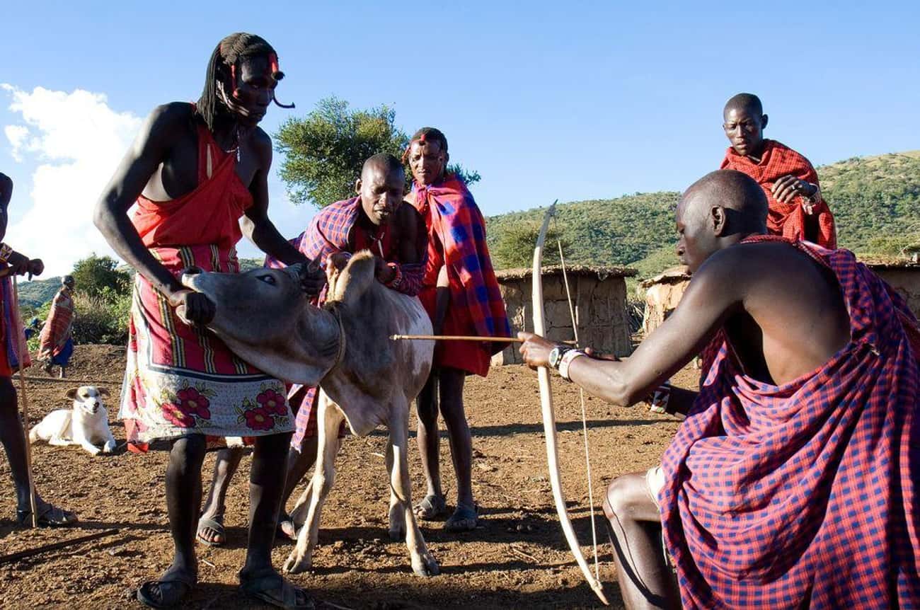 The Maasai Believe in Drinking Blood Straight from the Source