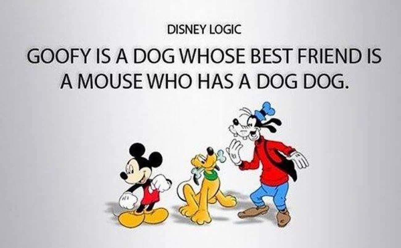 Логика Диснея. Странная логика Диснея. Дисней мемы на английском. Goofy Dog. Who my best friend