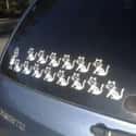 Cat Person on Random Silly Stick Figure Family Decals That People Really Put on Their Cars