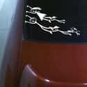 Perpetual Speeder on Random Silly Stick Figure Family Decals That People Really Put on Their Cars