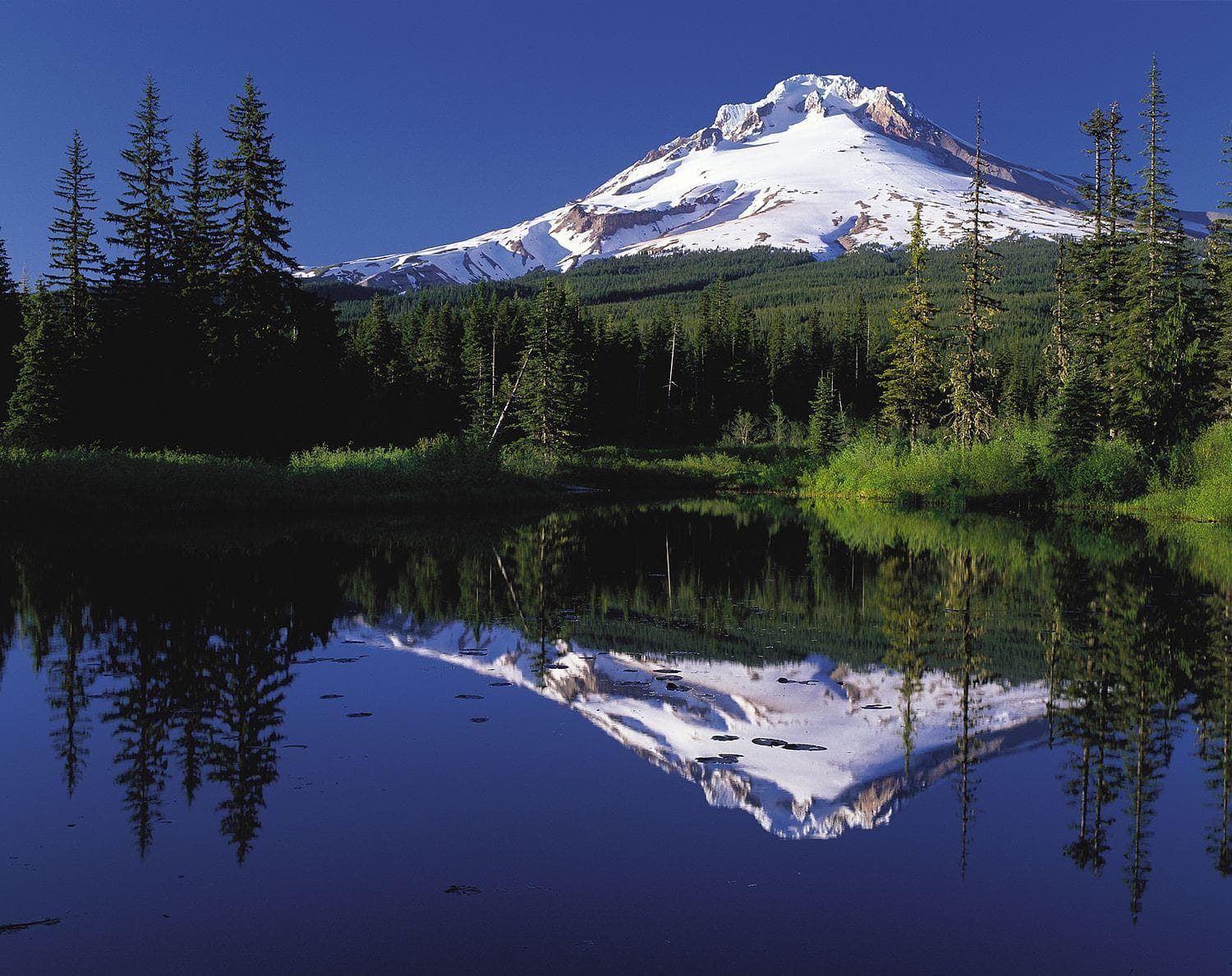 The Evil Spirit Of Mount Hood
