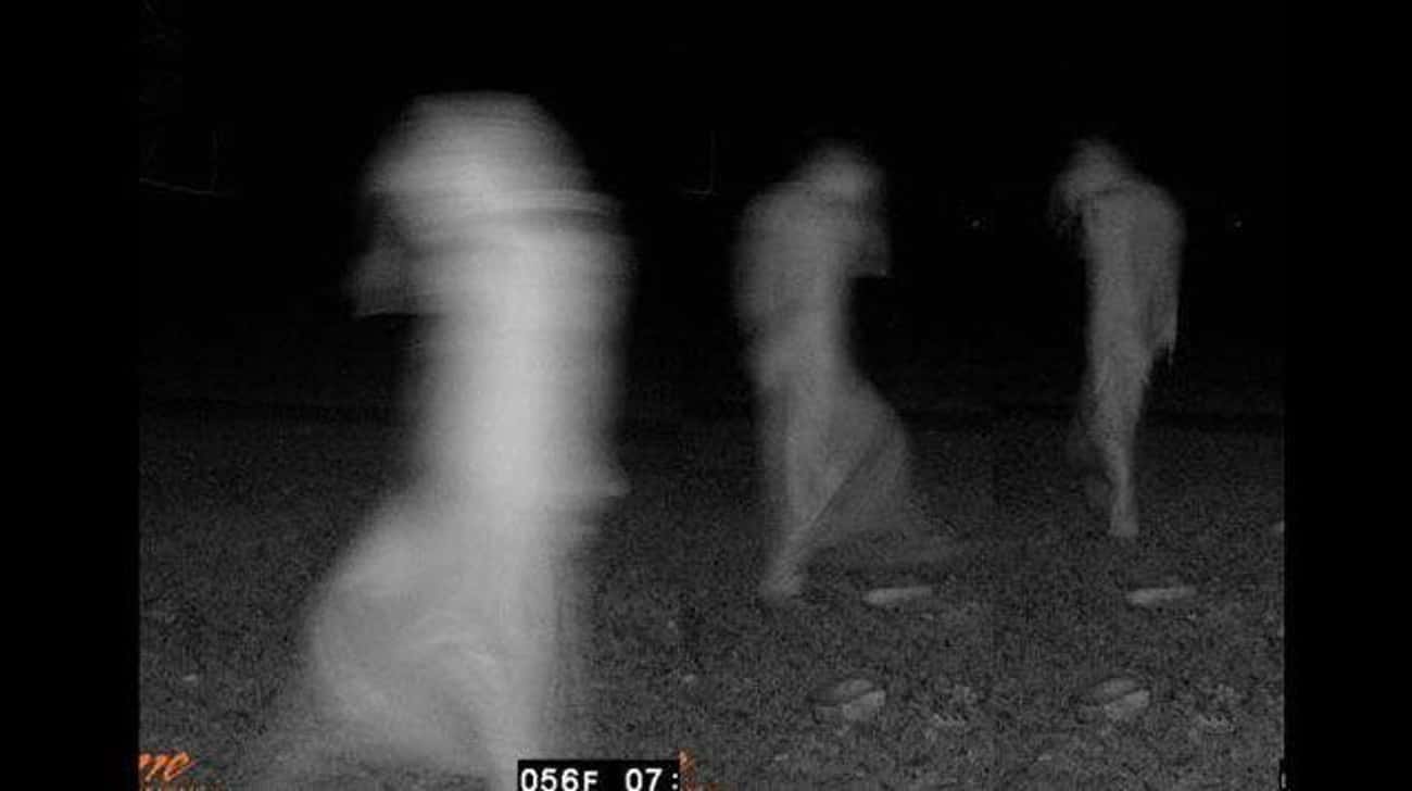 Самые жуткие кадры с охотничьих камер ночного видения