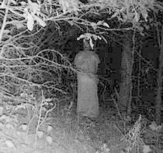 Random Horrifying Real Pictures From Trail Cameras