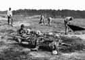 African-Americans Collect the Bones of Dead Soldiers at Cold Harbor on Random Astounding Civil War Battlefield Photos