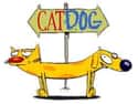 CatDog on Random Greatest Dogs in Cartoons and Comics