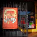 The Museum Of The Weird In Austin, TX on Random Museums In America You Won't Believe Actually Exist