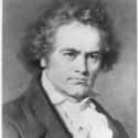 He Used, Among Other Methods, A Vibrating Pencil To Help Compose While Deaf on Random Grim Facts About Life Of Beethoven You Never Learned As A Kid