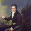He Never Married, But Not For Lack Of Trying on Random Grim Facts About Life Of Beethoven You Never Learned As A Kid