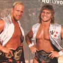 Hollywood Blondes on Random Best Tag Teams In WWE History