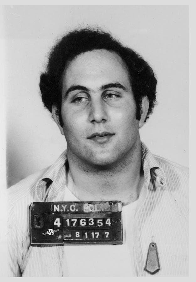 13 Bizarre Facts About David Berkowitz Aka The Son Of Sam