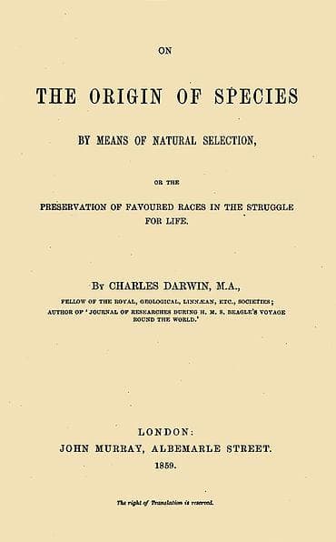 The 15 Biggest Feuds in the History of Science