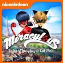 Miraculous: Tales of Ladybug & Cat Noir on Random Best Computer Animation TV Shows