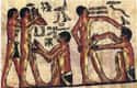 Circumcision Happened Later In A Boy's Life on Random Strange Facts About What Everyday Life Was Like In Ancient Egypt