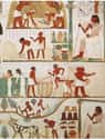 Men And Women Were Equal Under The Law on Random Strange Facts About What Everyday Life Was Like In Ancient Egypt