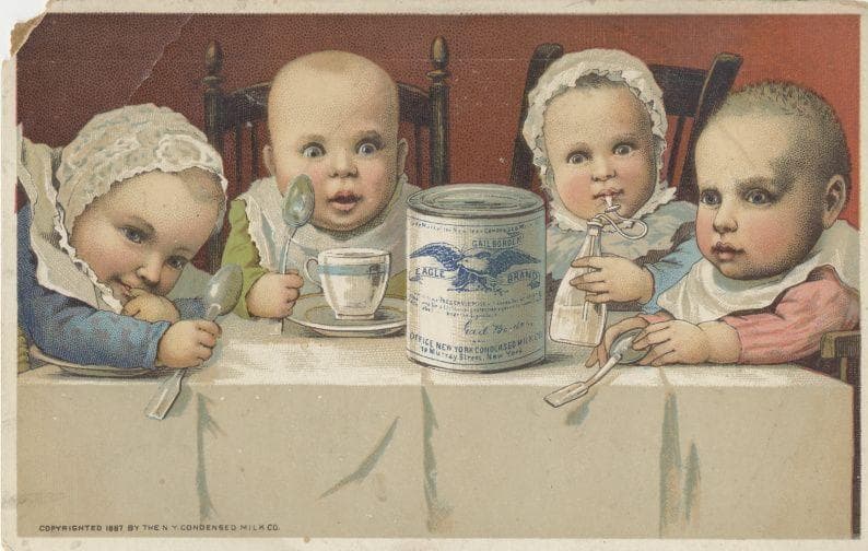 Boracic Acid "Purified" Milk And Killed Children