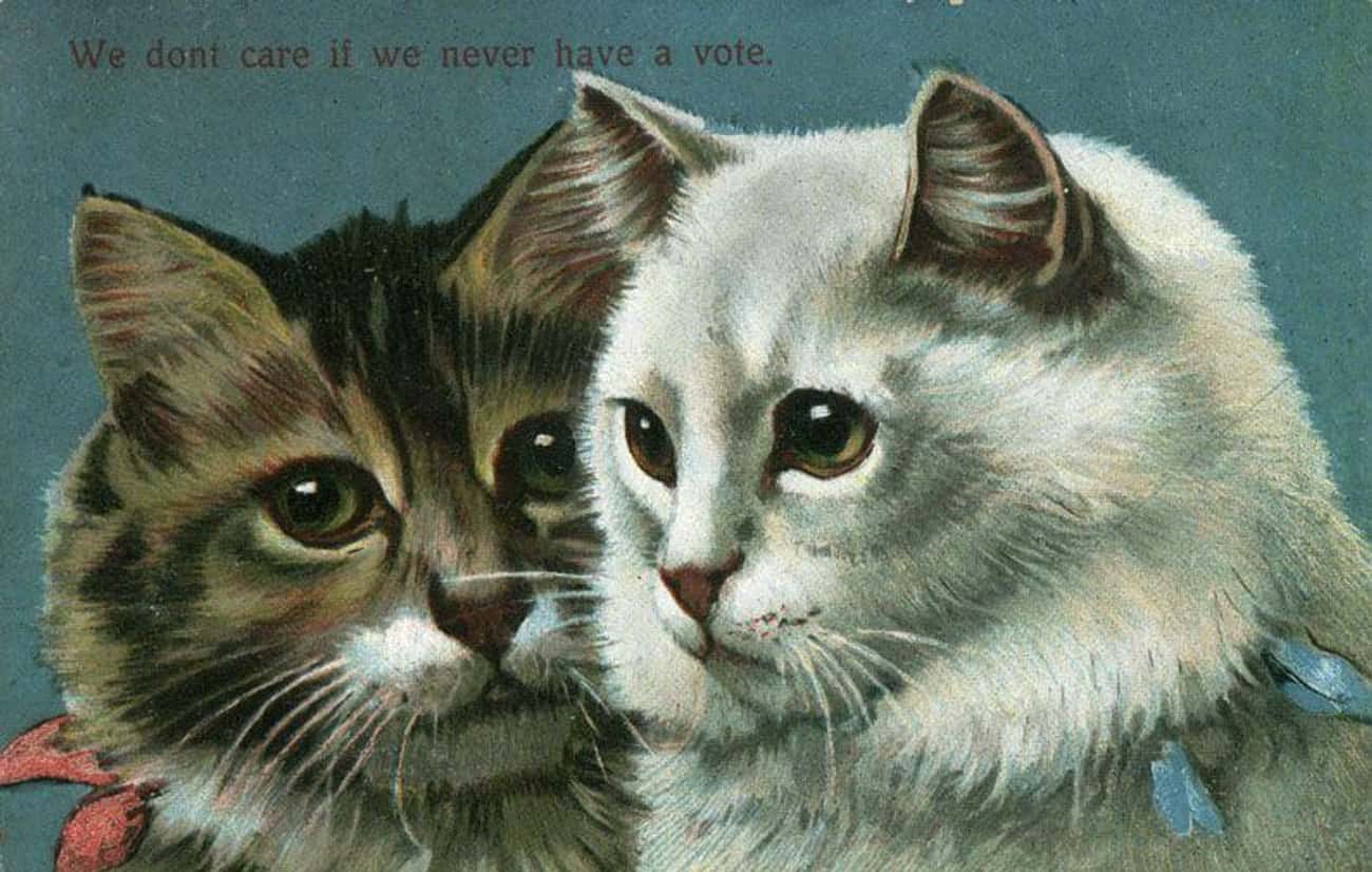 &#34;We don&#39;t care if we never have a vote&#34; (Anti-Suffrage, ca. 1890-1920)