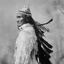 Geronimo Was Shot in the Face and Still Got Up to Do Battle on Random Facts About Life Of Geronimo