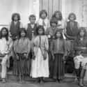 Half of Geronimo’s Tribe Was Betrayed and Killed After a Deal Proposed at Apache Tejo on Random Facts About Life Of Geronimo