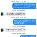 Never Say Never Though on Random People Who Won at Tinder and at Life