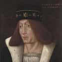 King James II of Scotland by an Unknown Artist, 15th Century on Random Most Heinously Unflattering Royal Portraits in History