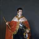 King Ferdinand VII of Spain by Francisco Goya, 1815 on Random Most Heinously Unflattering Royal Portraits in History
